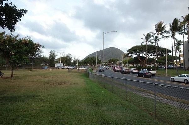 th DSC04600 th DSC04600