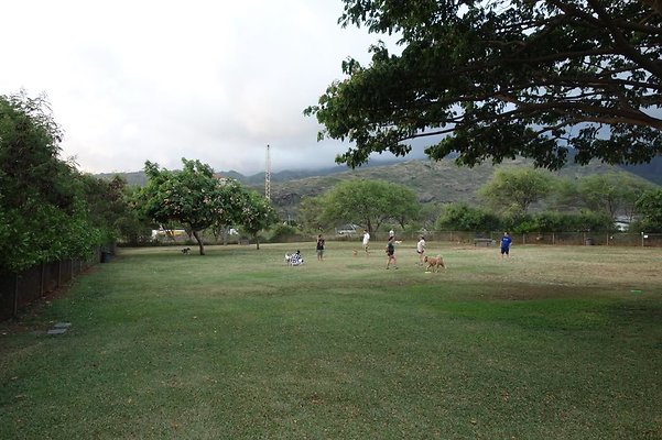 th DSC04598 th DSC04598