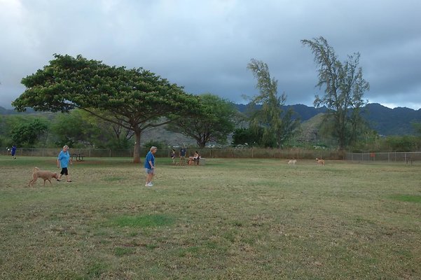 th DSC04596 th DSC04596