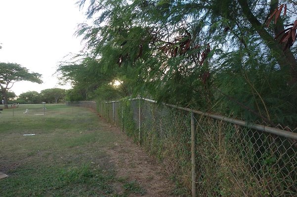 th DSC04591 th DSC04591