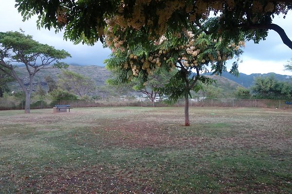 th DSC04601 th DSC04601