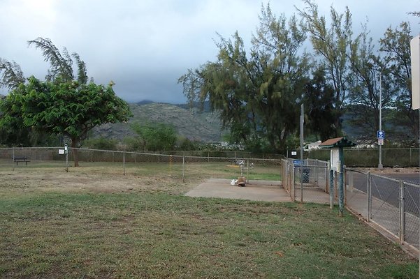 th DSC04594 th DSC04594