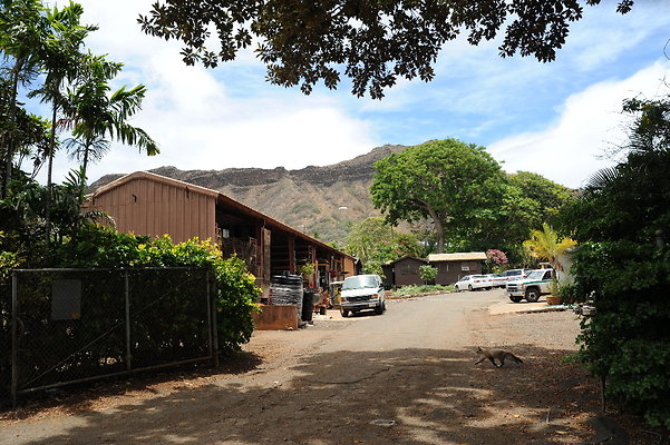 Parks and Rec Urban Forestry Yard on Paki