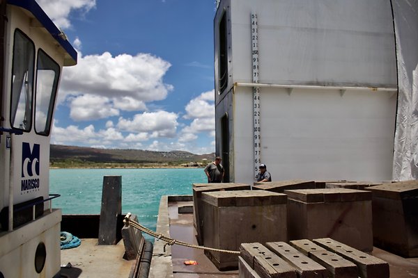 th IMG 8981 th IMG 8981