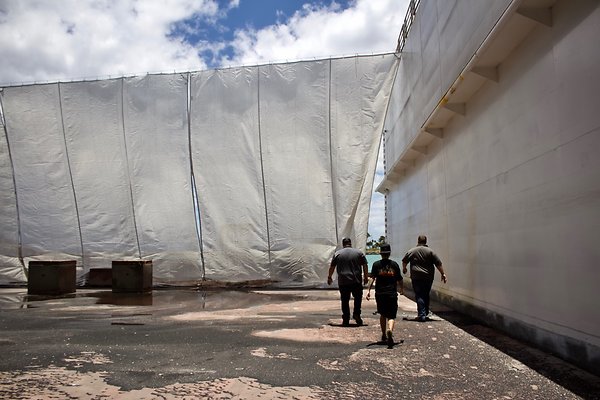 th IMG 8975 th IMG 8975