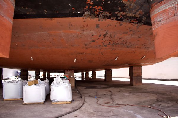 th IMG 8964 th IMG 8964