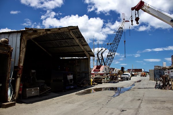 th IMG 8992 th IMG 8992