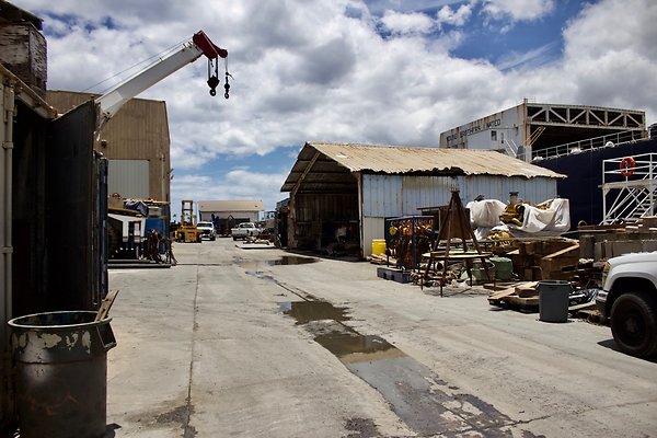 th IMG 8988 th IMG 8988