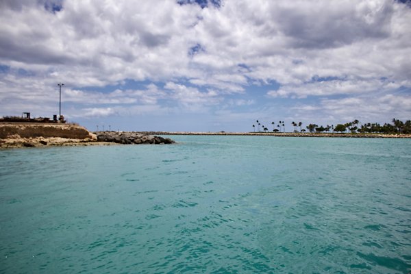 th IMG 8979 th IMG 8979