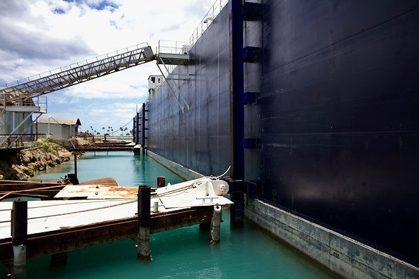 th IMG 8984 th IMG 8984