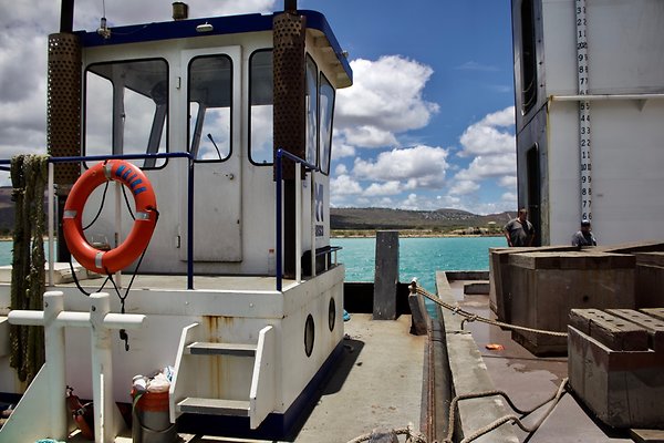 th IMG 8980 th IMG 8980