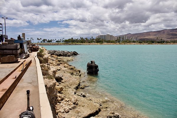 th IMG 9003 th IMG 9003