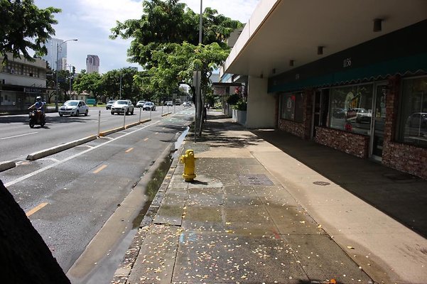 th IMG 9751 th IMG 9751