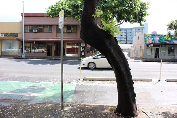 th IMG 9758 th IMG 9758