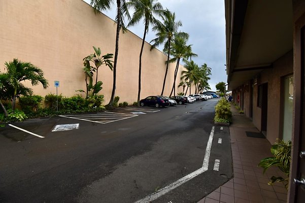 th DSC 0494 th DSC 0494