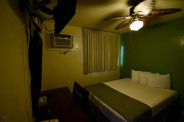 th DSC 0474 th DSC 0474