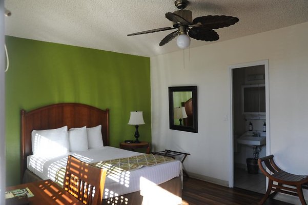 th DSC 9572 th DSC 9572