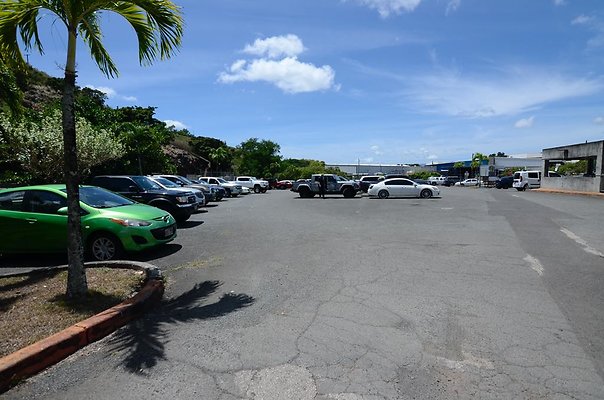 th DSC6505 th DSC6505