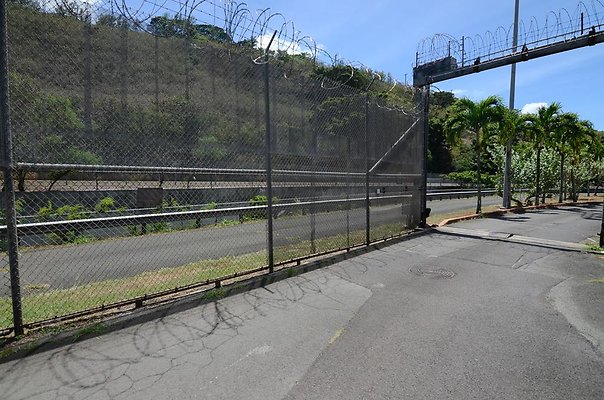 th DSC6488 th DSC6488