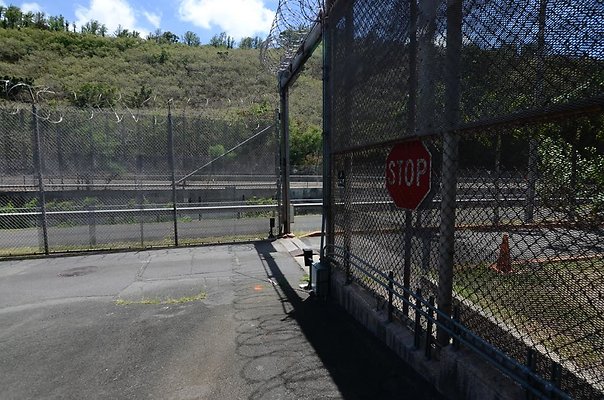 th DSC6495 th DSC6495