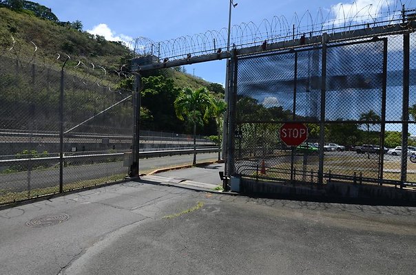 th DSC6491 th DSC6491