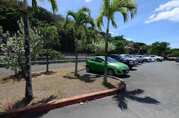 th DSC6504 th DSC6504