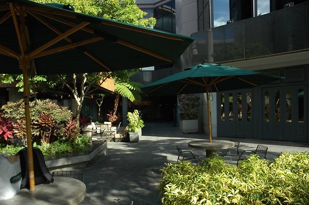 HI50 S5 DSC 2260 HI50 S5 DSC 2260