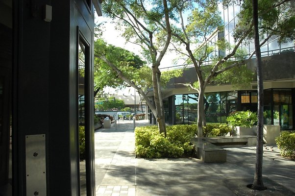 HI50 S5 DSC 2274 HI50 S5 DSC 2274