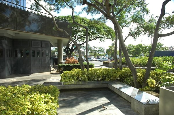 HI50 S5 DSC 2262 HI50 S5 DSC 2262