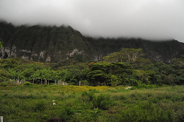 Castillo Ranch Waimanalo Castillo Ranch Waimanalo