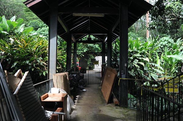 Manoa Treetops Restaurant & Jungle Area 3737 Manoa Road Warren (808) 469-1591 Manoa Treetops Restaurant & Jungle Area 3737 Manoa Road Warren (808) 469-1591