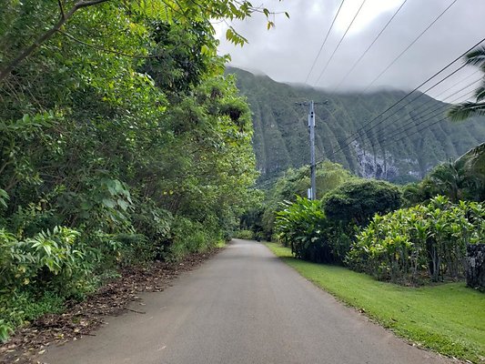Waimanalo Hooluana Nursery 41-879 Mahailua St Miguel Ramirez (808) 282-1643 Waimanalo Hooluana Nursery 41-879 Mahailua St Miguel Ramirez (808) 282-1643