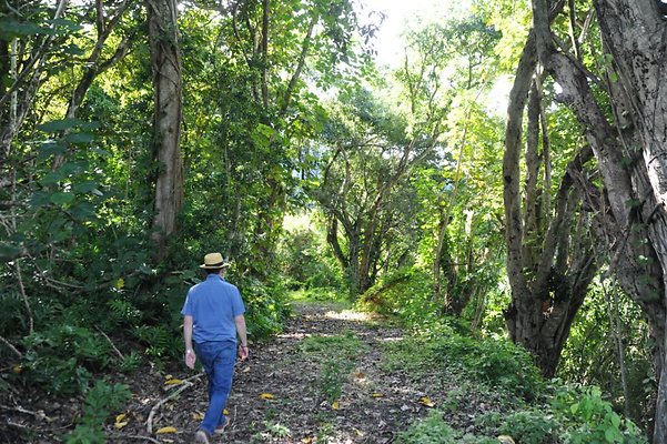 Kaneohe Kakoo Oiwi Farm 46-334 Kamehameha Hwy Koa 808.741.3403 Kaneohe Kakoo Oiwi Farm 46-334 Kamehameha Hwy Koa 808.741.3403