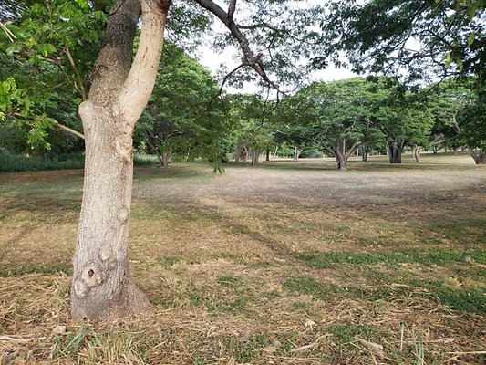 th 20190919 172513 th 20190919 172513