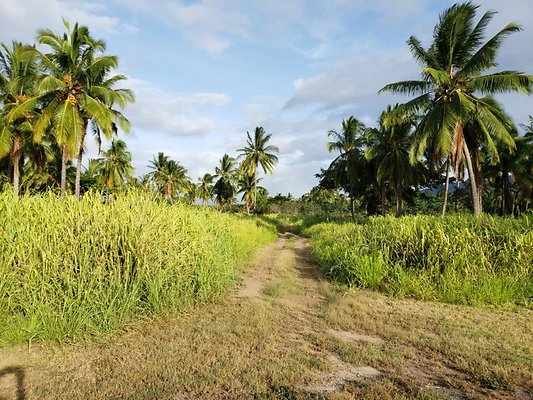 th 20190919 171254 th 20190919 171254