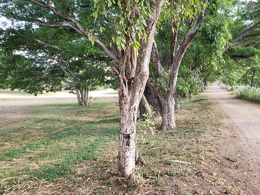 th 20190919 172526 th 20190919 172526