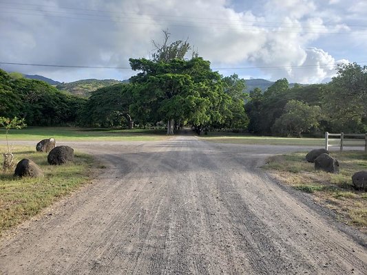 th 20190919 171452 th 20190919 171452