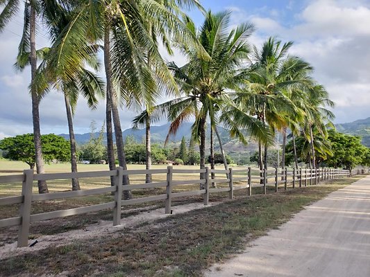 th 20190919 165141 th 20190919 165141