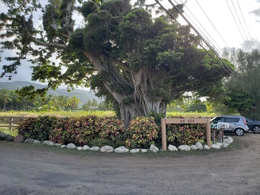 th 20190919 165700 th 20190919 165700