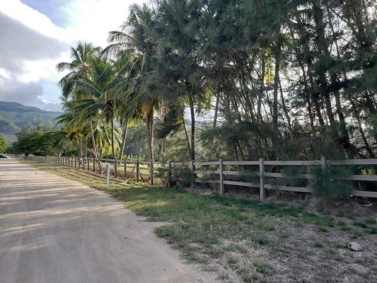 th 20190919 165146 th 20190919 165146