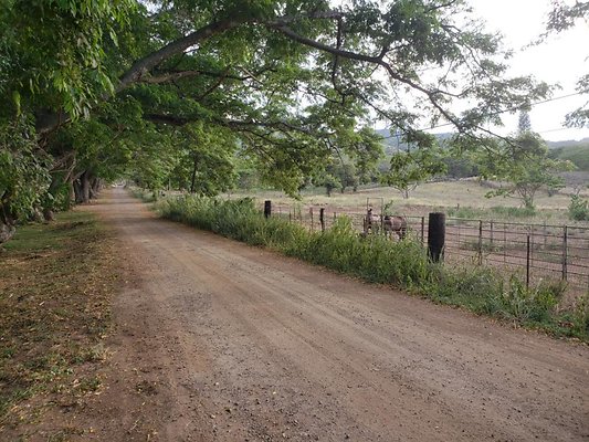 th 20190919 172532 th 20190919 172532