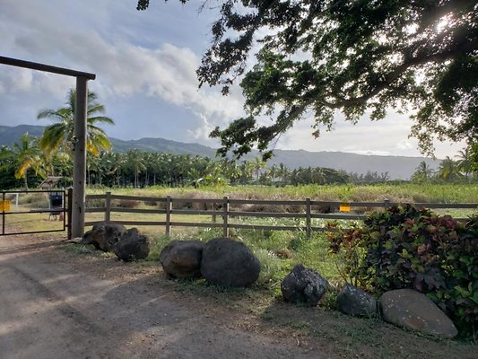 th 20190919 165806 th 20190919 165806