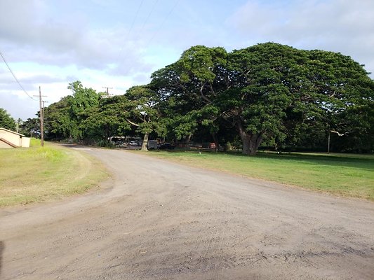 th 20190919 171723 th 20190919 171723