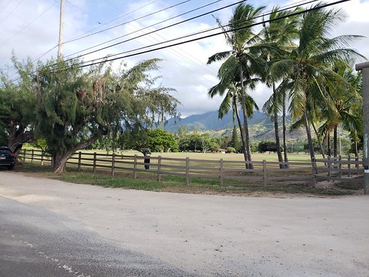 th 20190919 165001 th 20190919 165001