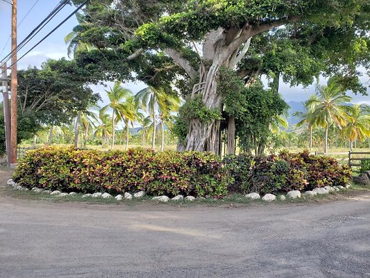 th 20190919 165636 th 20190919 165636