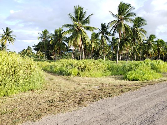 th 20190919 171242 th 20190919 171242