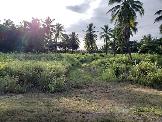 th 20190919 171324 th 20190919 171324