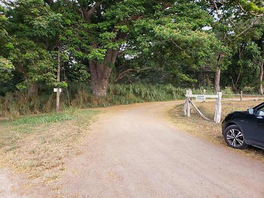 th 20190919 172202 th 20190919 172202