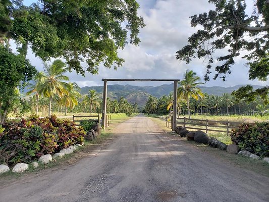 th 20190919 165648 th 20190919 165648