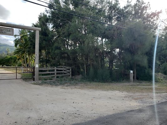 th 20190919 165005 th 20190919 165005